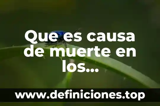 Que es causa de muerte en los adolescentes