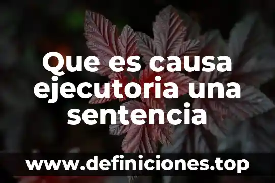 Que es el puerto de audio de una computadora 6 Que es causa ejecutoria una sentencia