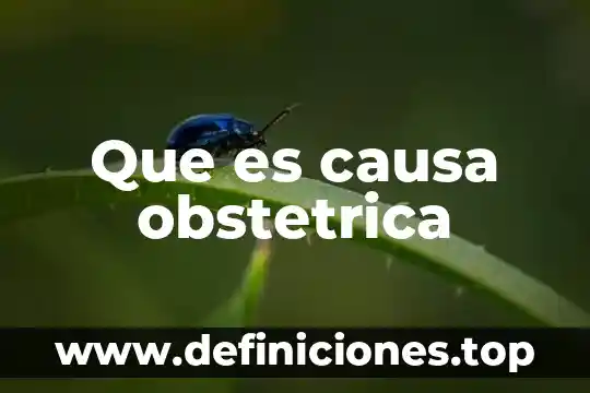 Que es causa obstetrica