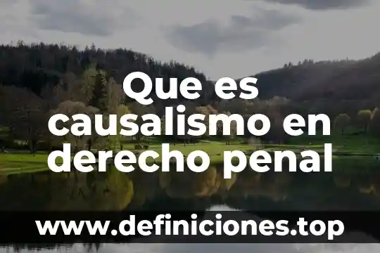 Que es es un principio ético 3 Que es causalismo en derecho penal