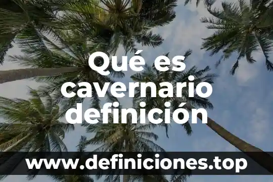 Que es una industria semi automatizada 7 Qué es cavernario definición