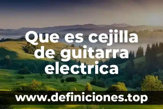 Qué es fuerza eléctrica 5 Que es cejilla de guitarra electrica