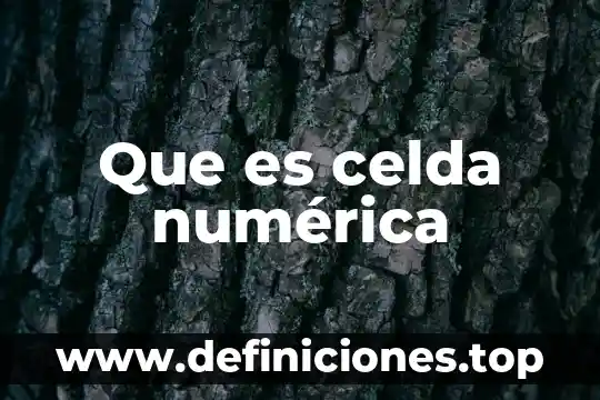Que es una celda dentro de una hoja de calculo 7 Que es celda numérica