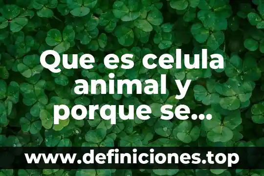 Que es celula animal y porque se caracterizan