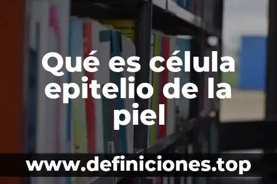 Qué es el epitelio y para qué sirve 3 Qué es célula epitelio de la piel