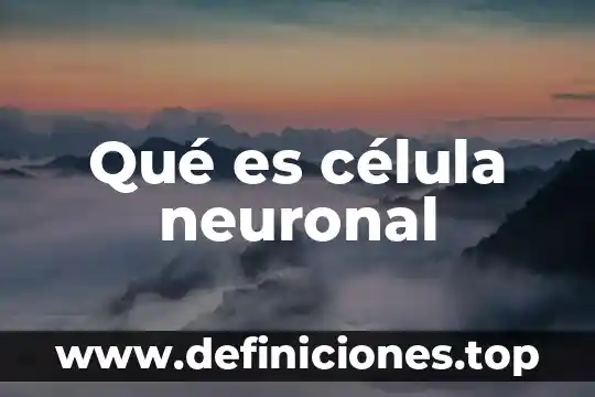 Qué es el mecanismo de comunicación neuronal 5 Qué es célula neuronal