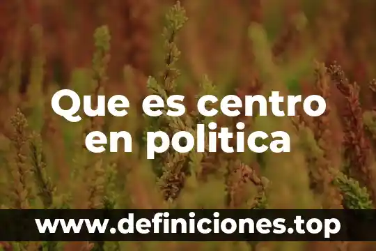Que es la politica criminal de juan bustos 5 Que es centro en politica