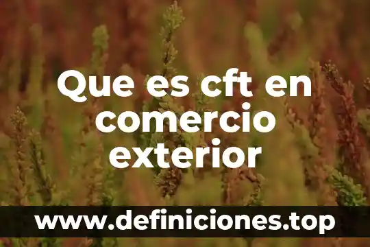 Que es un permiso al comercio exterior 4 Que es cft en comercio exterior