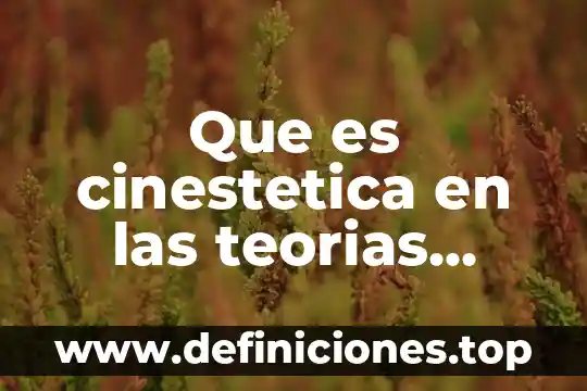Que es cinestetica en las teorias multiples
