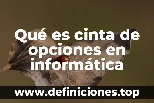Que es una cinta de autoridad 3 Qué es cinta de opciones en informática