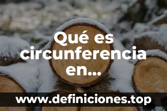 Qué es circunferencia en matemáticas elementos de ella