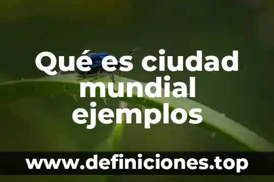 Qué es ciudad mundial ejemplos
