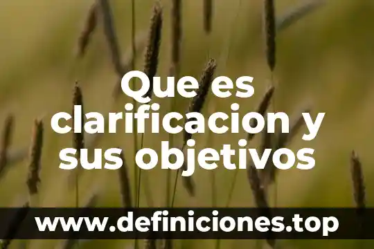 Que es un banner objetivos 8 Que es clarificacion y sus objetivos