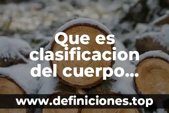 Que es clasificacion del cuerpo humano