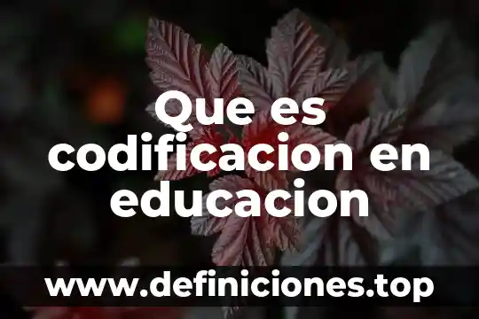Codificación que es en capa física 5 Que es codificacion en educacion