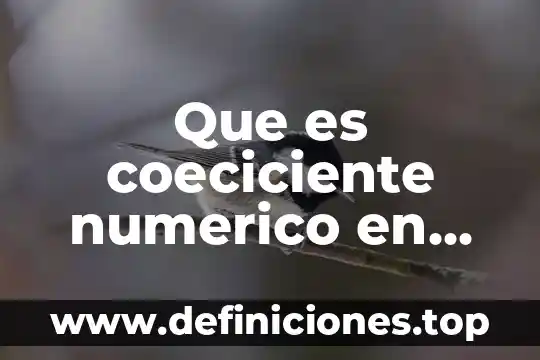 Qué es un orden total matemáticas discretas 6 Que es coeciciente numerico en matematicas