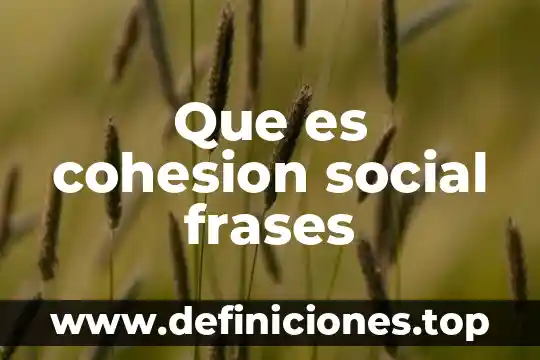 Que es la cohesion en fisica unidades 5 Que es cohesion social frases