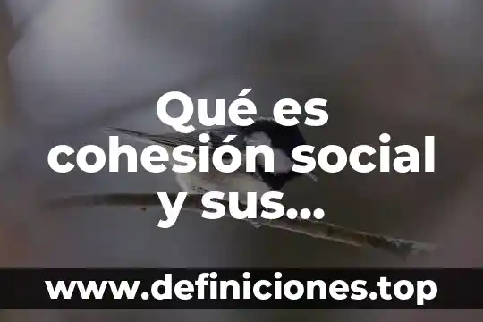 Qué es cohesión social y sus características definición