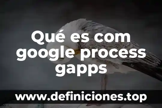 Producto adicionado com sucesso que es 7 Qué es com google process gapps