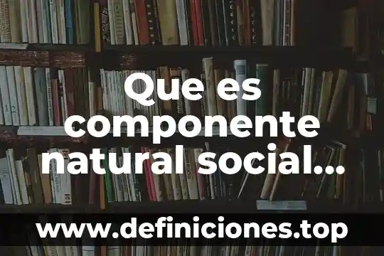 Que es un componente curricular definicion 8 Que es componente natural social cultural economico y politico brainly