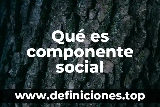 Qué es componente social