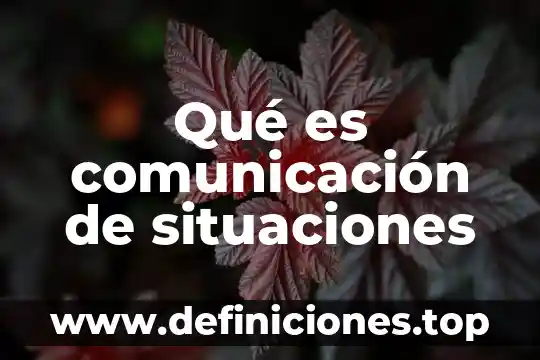 Qué es comunicación de situaciones