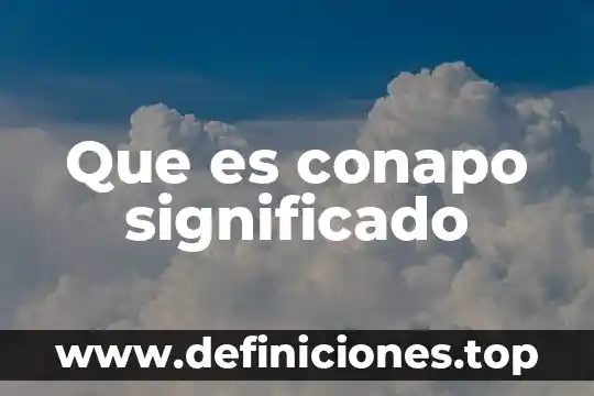 Pulcritud significado 3 Que es conapo significado