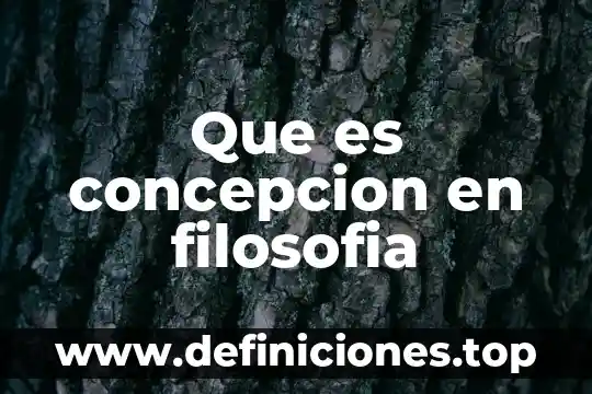 Concepción de autores que es la pintura 3 Que es concepcion en filosofia