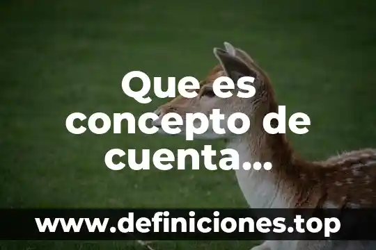 Que es concepto de cuenta contable