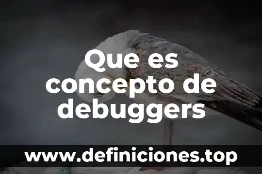 Que es concepto de debuggers