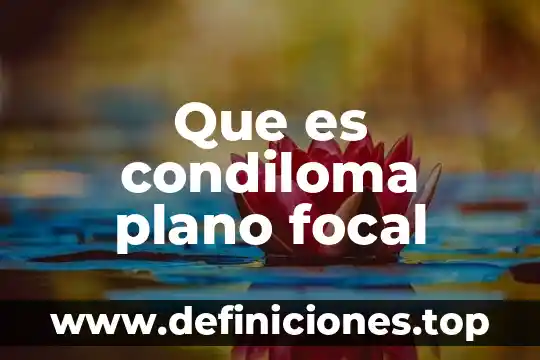 Que es condiloma plano focal