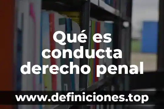 Qué es conducta libros 3 Qué es conducta derecho penal