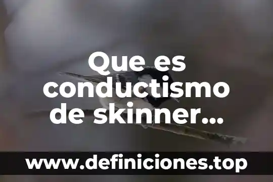Que es el conductismo teoria del aprendizaje 8 Que es conductismo de skinner ejemplos