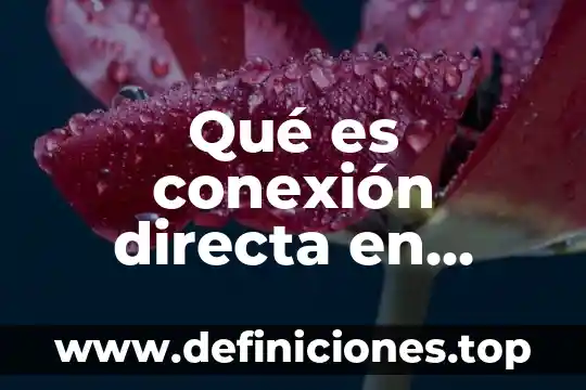 Qué es conexión directa en informática