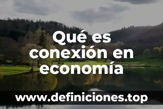 Qué es la terciarización de la economía en Colombia 3 Qué es conexión en economía