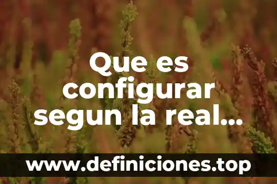 Que es contaminacion segun la real academia española 4 Que es configurar segun la real academia española