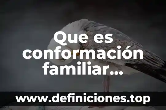 Que es parentesco familiar 7 Que es conformación familiar extendida