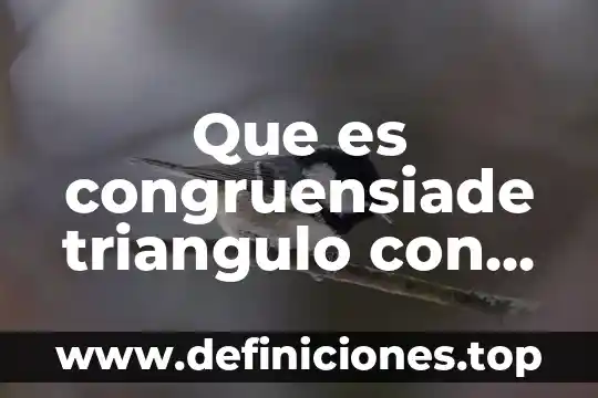 Ejemplos que es el significado y el significante 6 Que es congruensiade triangulo con ejemplos