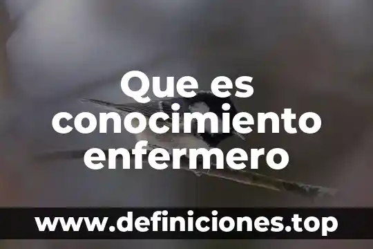 Que es un enfermero en el diccionario 3 Que es conocimiento enfermero
