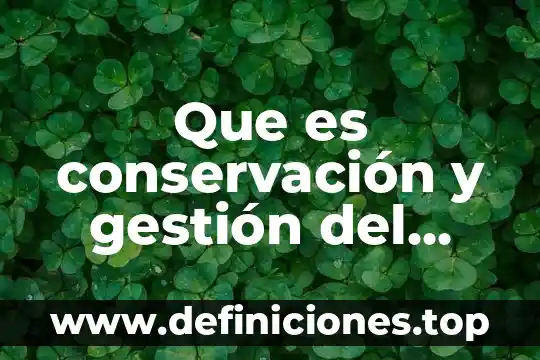 Que es patrimonio cultural y natural del estado de mexico 8 Que es conservación y gestión del patrimonio
