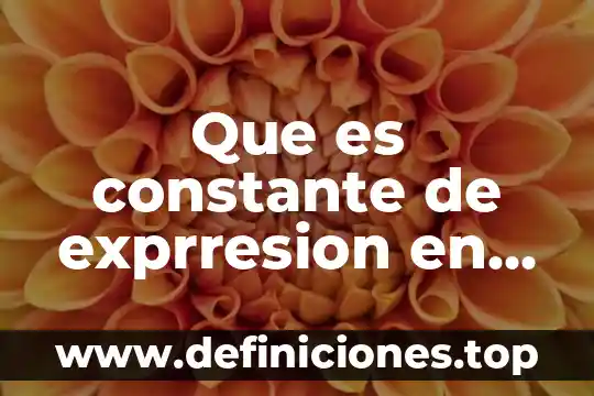 Qué es una constante absoluta y numérica 3 Que es constante de exprresion en matematicas