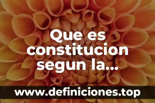 Que es constitucion segun la jurisprudencia