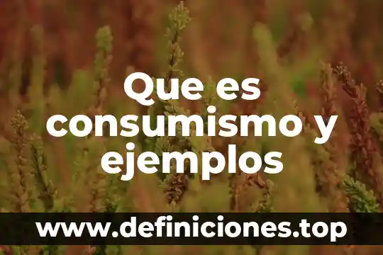 Que es consumismo y ejemplos