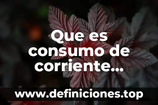 Qué es el consumo la independencia de México 6 Que es consumo de corriente electrica digital