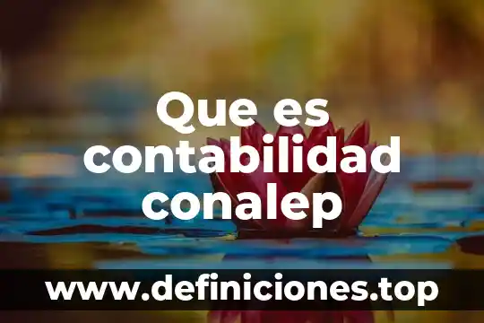 Que es contabilidad conalep