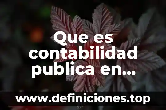 Que es contabilidad publica en mexico