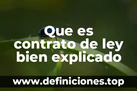 Que es un adjetivos explicado para niños 8 Que es contrato de ley bien explicado