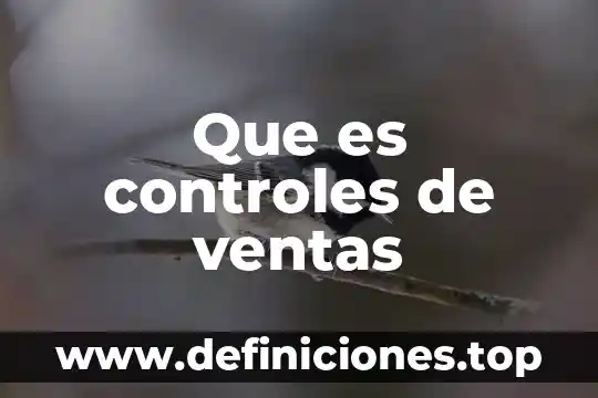 Qué es una área de exhibición en las ventas 8 Que es controles de ventas