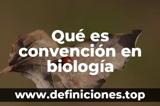 Que es la convencion nacional hacendaria 3 Qué es convención en biología
