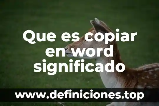 Que es copiar en word significado